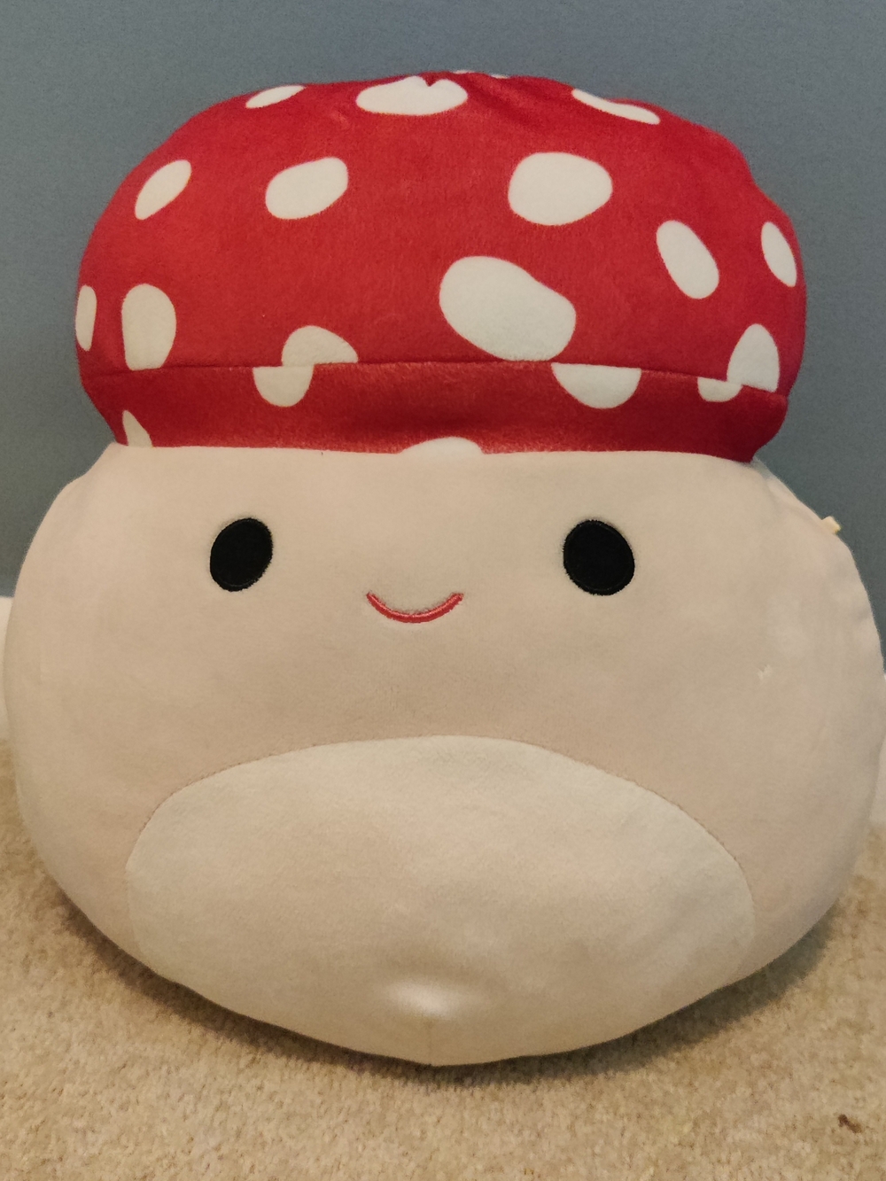 Malcolm the Mushroom Squishmallow